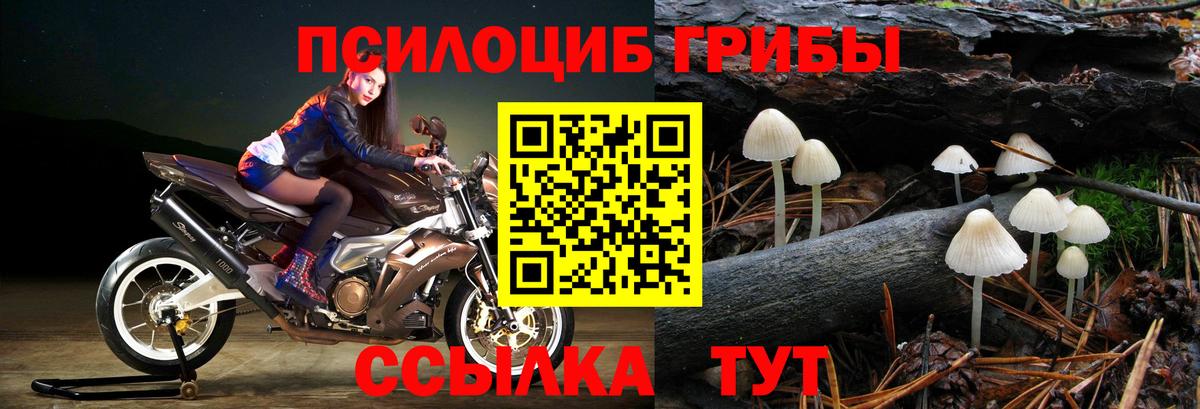 Дмитров  наркошоп  Галлюциногенные грибы MAGIC MUSHROOMS  Вход с VPN  Псилоцибиновые грибы ЛСД 