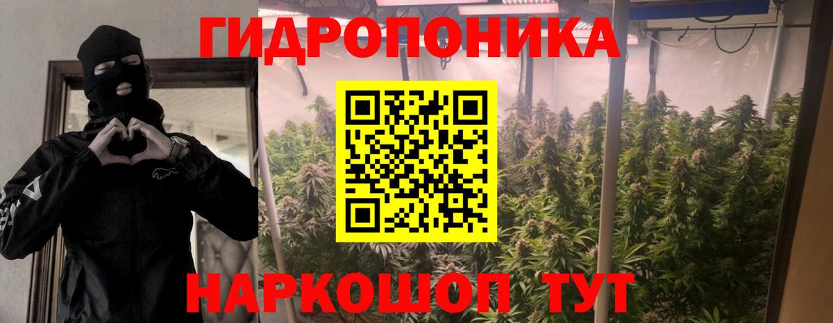 Дмитров  Каннабис индика  Шишки марихуана OG Kush  Вход с VPN 